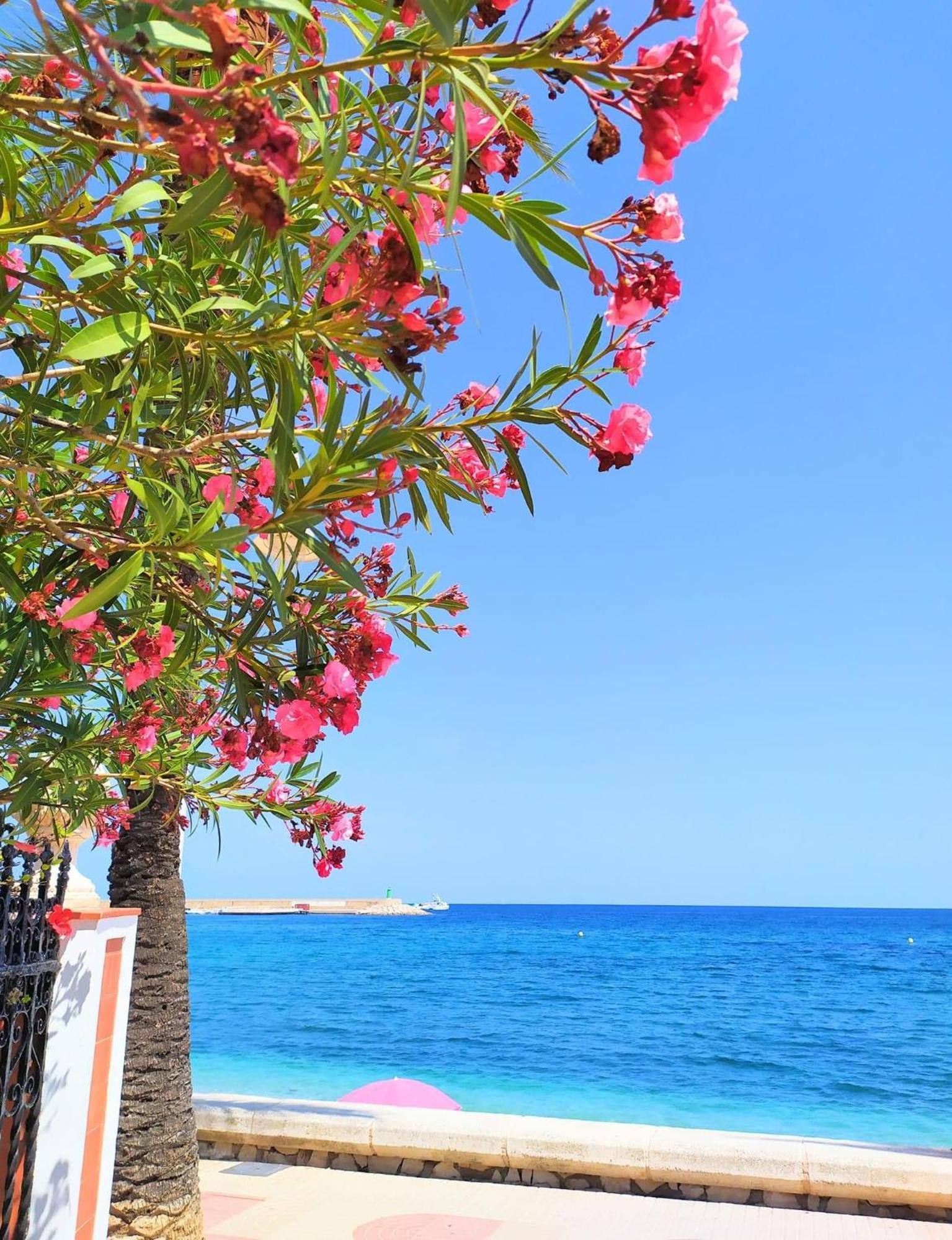 Javea Arenal Beach Exteriér fotografie