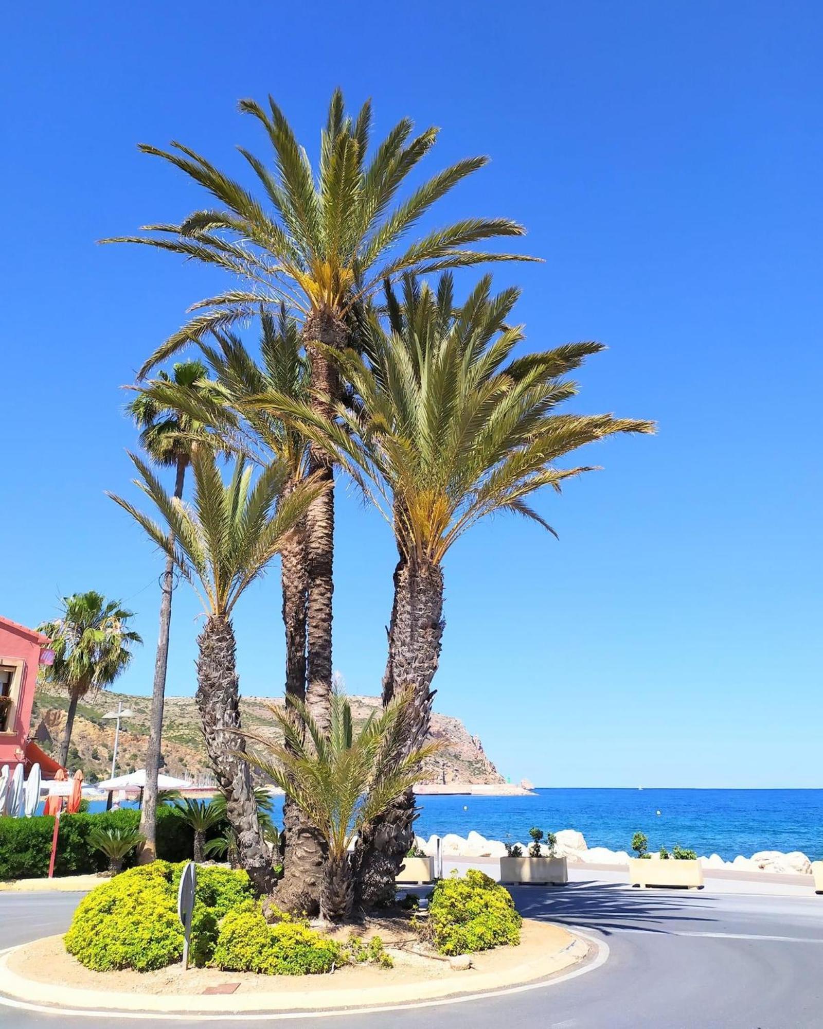 Javea Arenal Beach Exteriér fotografie